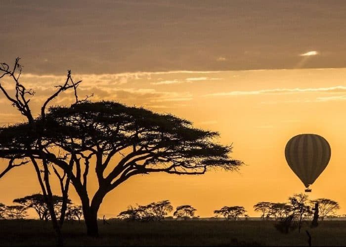 1-safari-en-montgolfiere-au-lever-du-soleil-907252-rcuo1en419x7pchqx64mb7iq5go3hby8ged6xw63d4