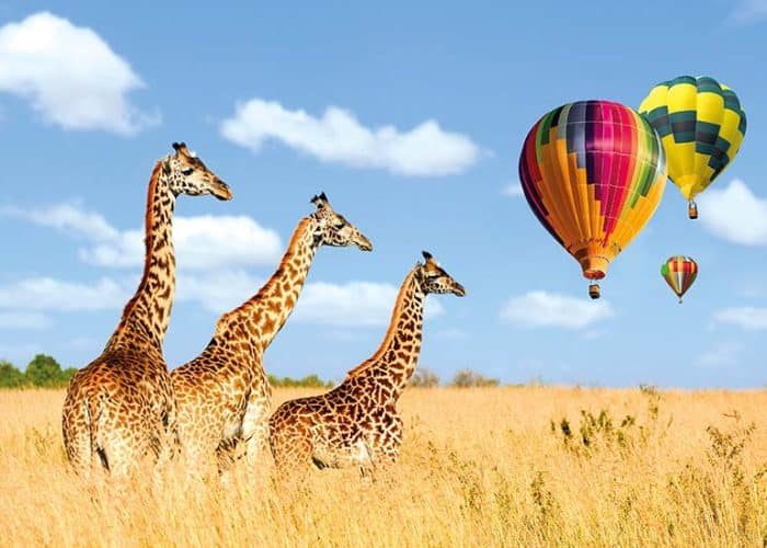 Image-image-Kenya-reserve-Masai-Mara-it_1047520376-rcuo1l7zd467ym86uqz0anuyb5rnz7octaxlatwc5k