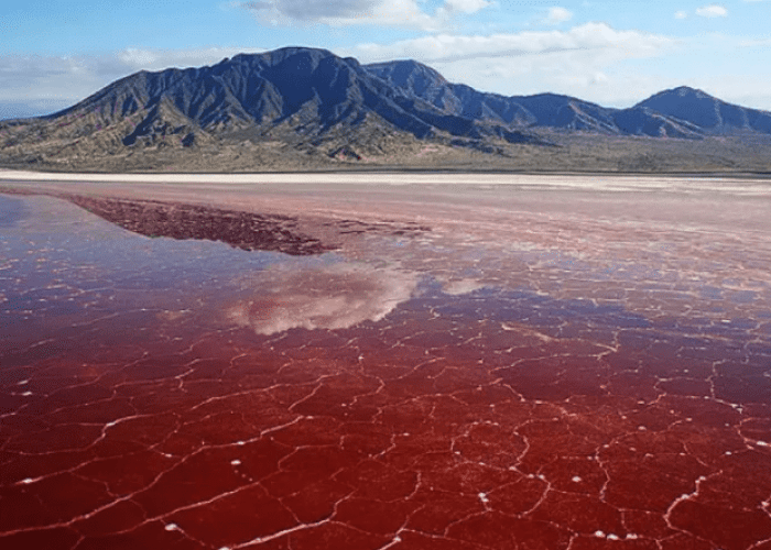 Lake-Natrond-red-rcuo25wfjgyj21e5hzwstin3dmxqojyg85a9ux1oco