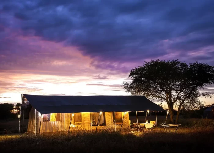 Singita-Serengeti-House-10
