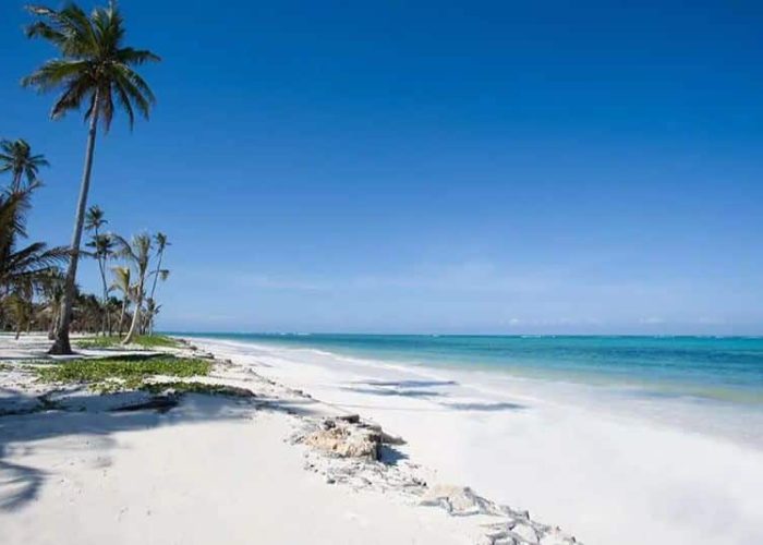 Stay-Palms-Zanzibar-1