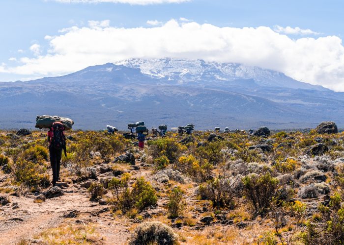 hikers-climbing-mount-kilimanjaro-in-tanzania