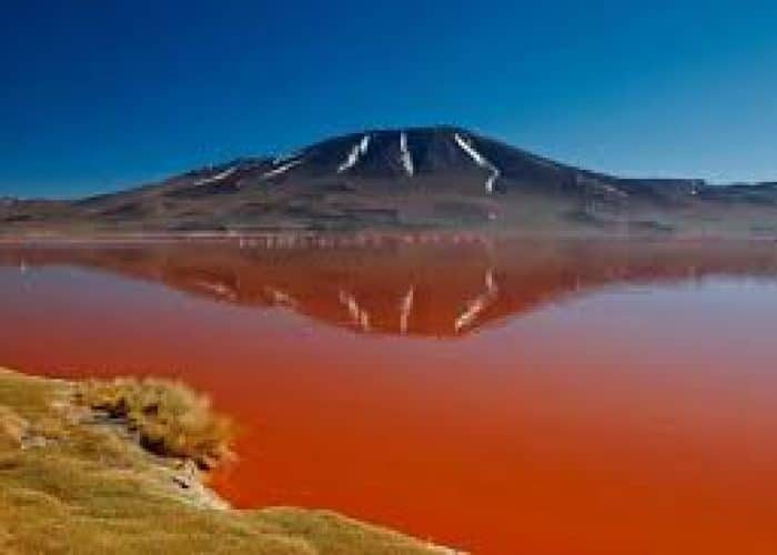 images-rcuo2bjgoh68zp5yl2ck8h7uxy5xyqku8x76qktbbc