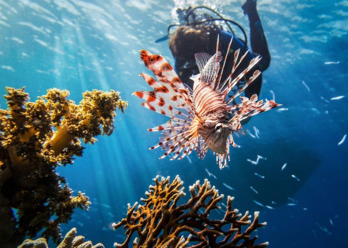 red-sea-2613882_1920